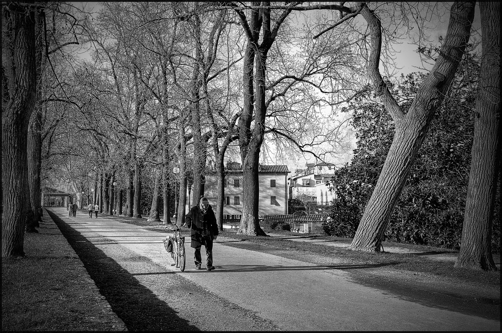 Sul viale del tramonto