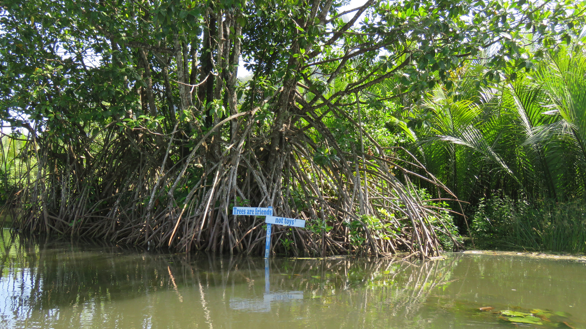 Sulawesi (2019), Rammang-Rammang