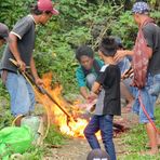 Sulawesi (2019), Toraja - gegrillt