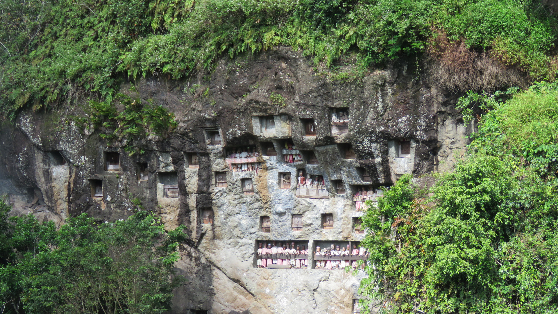 Sulawesi (2019), Toraja - Lemo