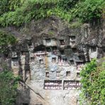 Sulawesi (2019), Toraja - Lemo