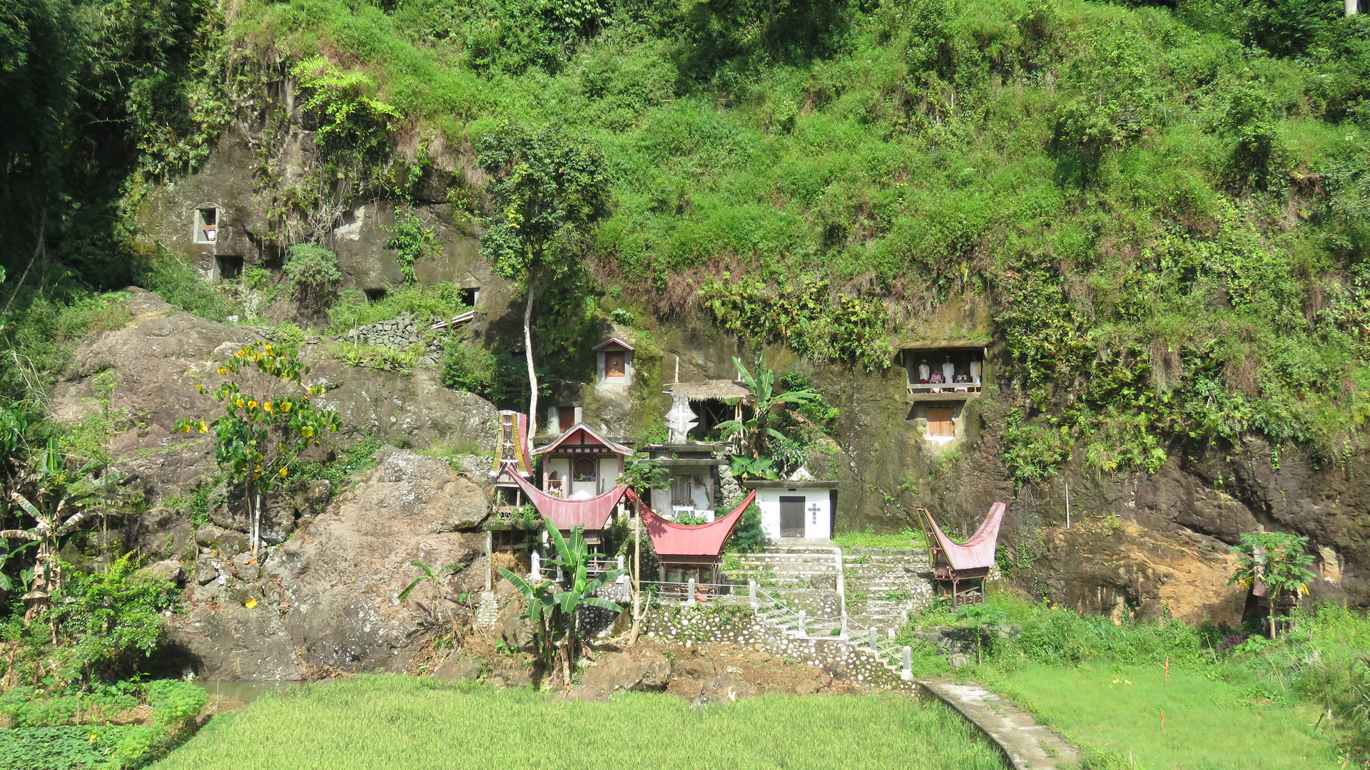 Sulawesi (2019), Toraja - Lemo