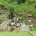 Sulawesi (2019), Toraja - Lemo