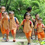 Sulawesi (2019), Toraja - Orange Fun