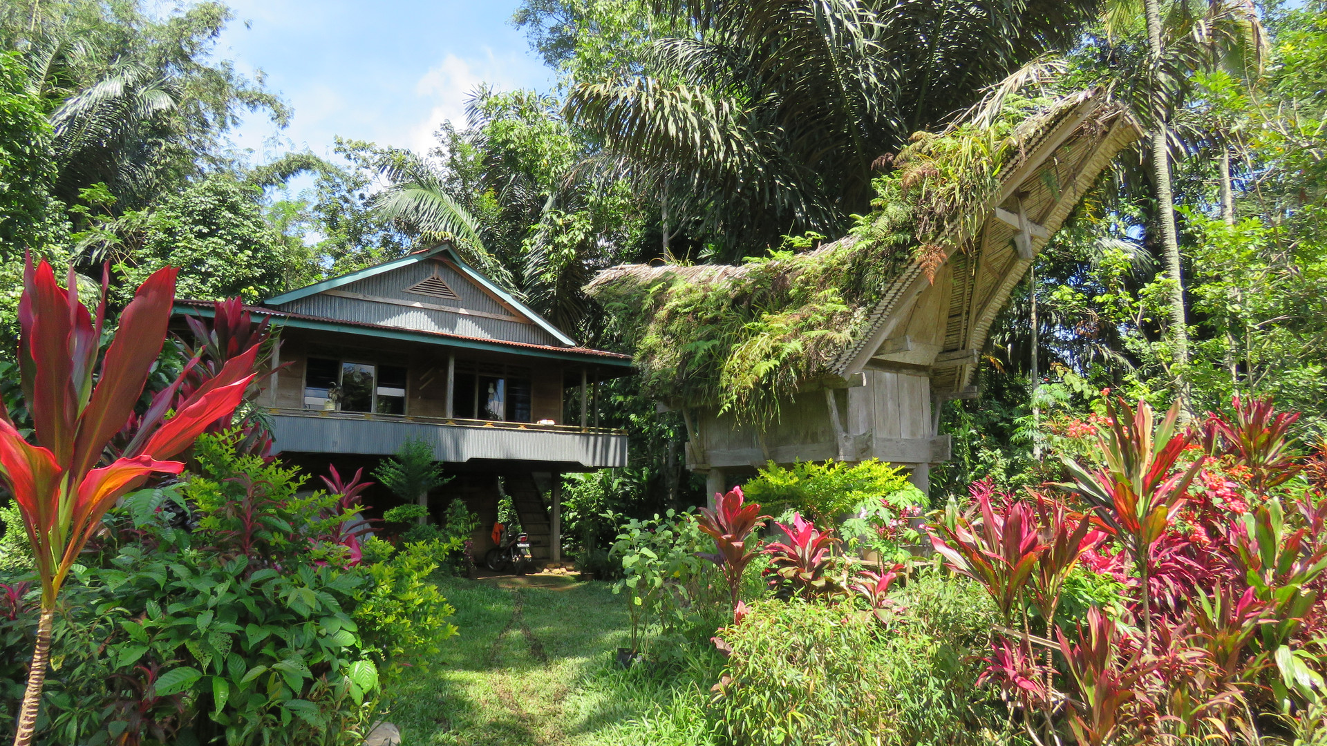 Sulawesi (2019), Toraja Region