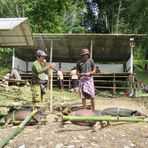 Sulawesi (2019), Toraja - Schweinefracht