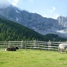 Sulden in Südtirol