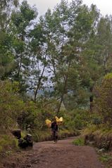 Sulfatstone carrier on his way down the Ijen mountain