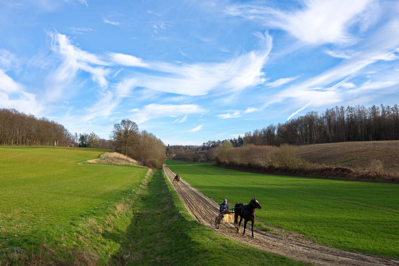 Sulkyfahrer im frühlingshafter Landschaft