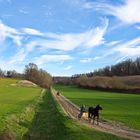 Sulkyfahrer im frühlingshafter Landschaft