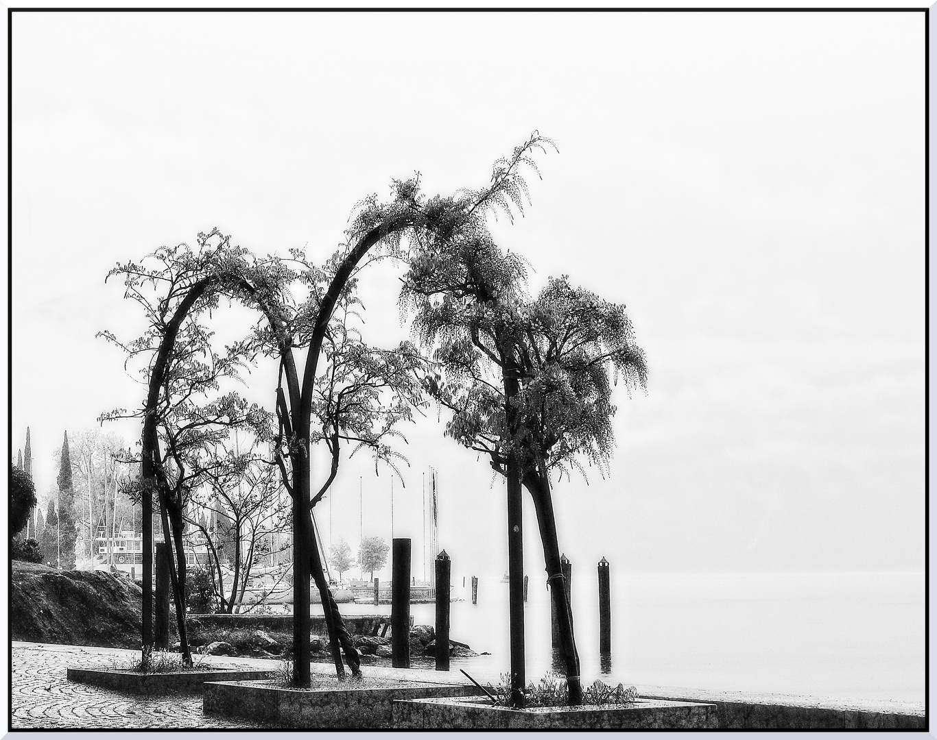 Sulla banchina del lago con la nebbia