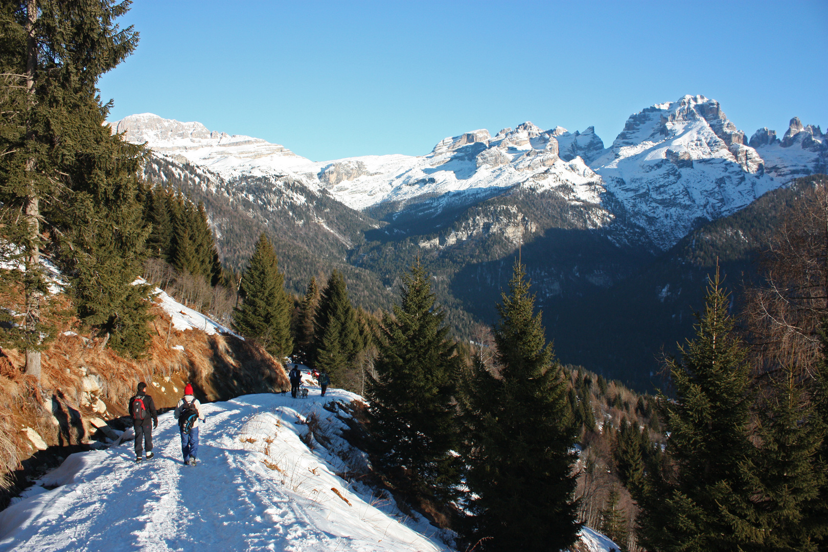 Sulla bianca strada