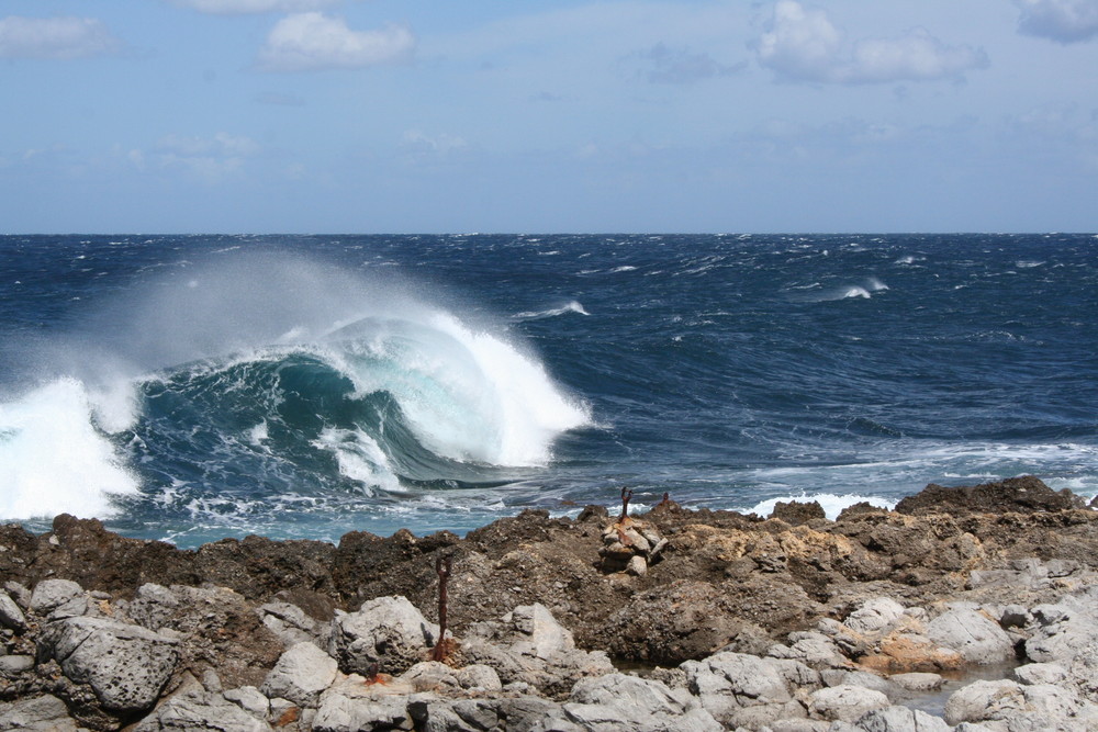 sulla cresta dell' onda...