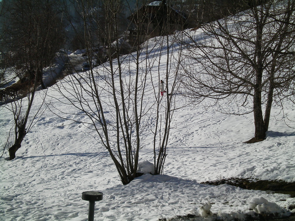 sulla neve