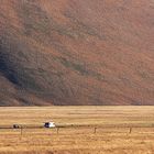 Sulla piana di Castelluccio..