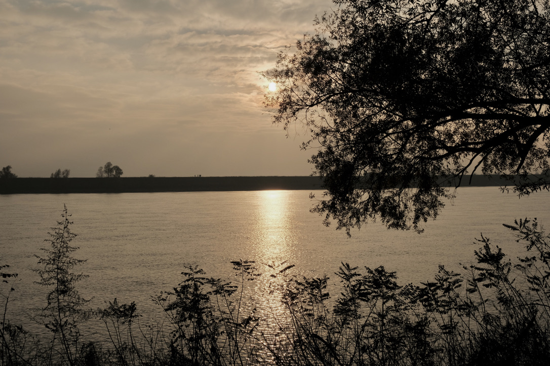 Sulla riva del grande fiume