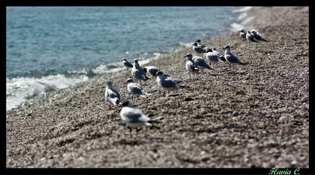 sulla riva del mare