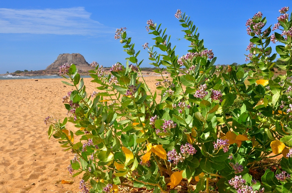 Sulla spiaggia