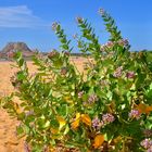 Sulla spiaggia