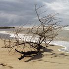 sulla spiaggia a Gennaio