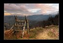 Sulla strada per san Paolo in Alpe von Franco Musa 