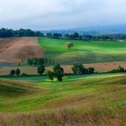 Sulla via Francigena 1