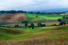 Sulla via Francigena 1