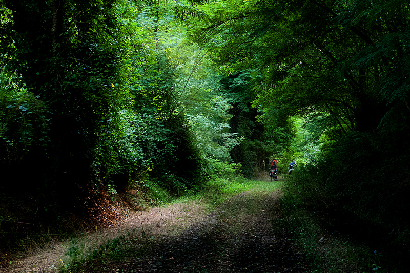 Sulla via Francigena 2