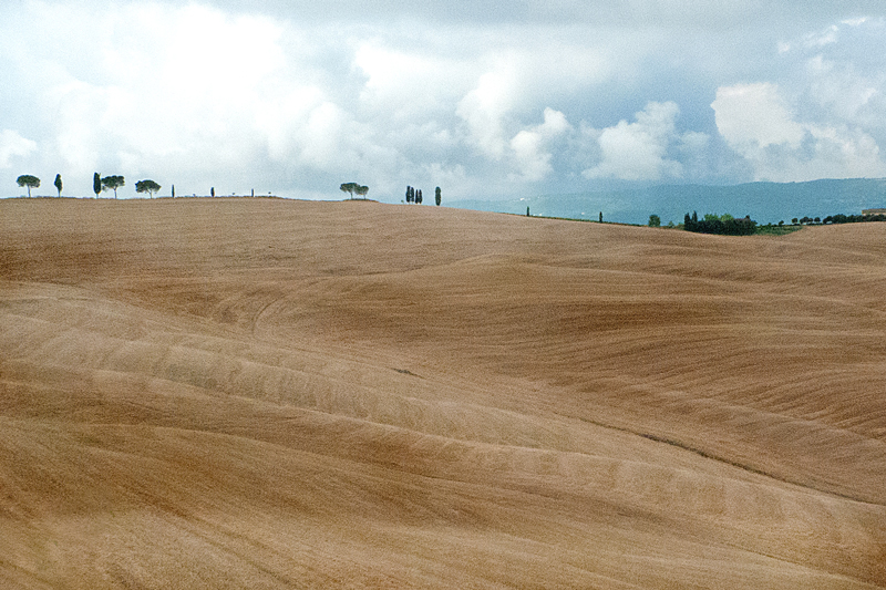 Sulla via Francigena 5