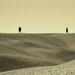 Sulle Crete senesi/3