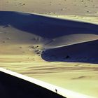 Sulle dune, al centro della Cina