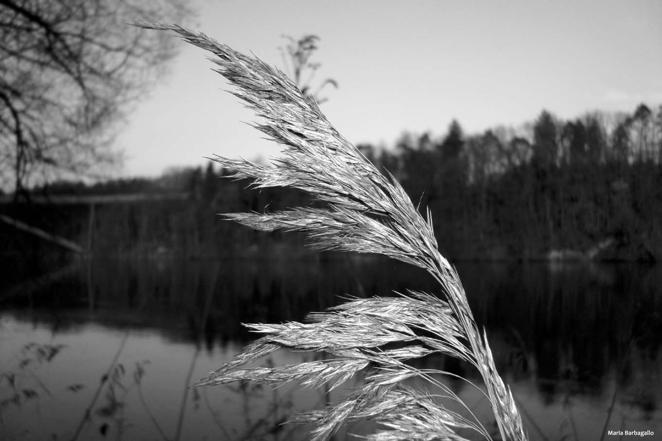 Sulle rive del Fiume