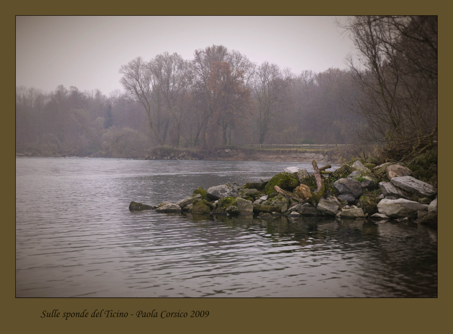 Sulle sponde del Ticino