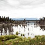 Sulphur Lake, Yukon