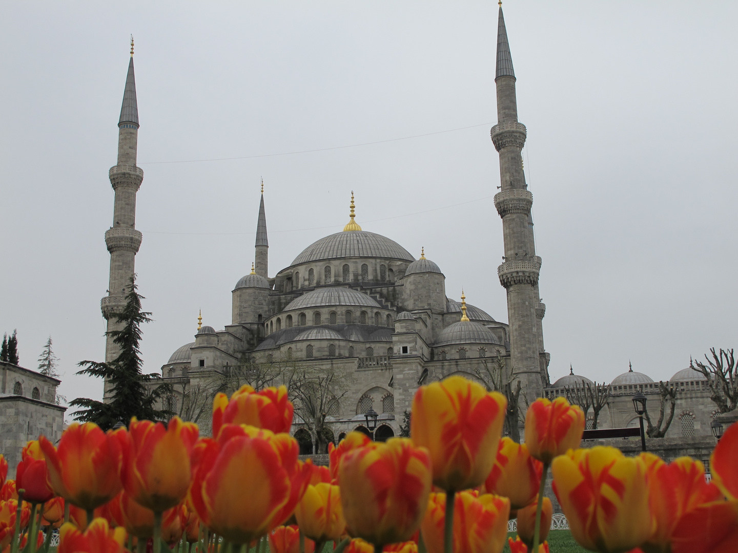 Sultan-Ahmed-Moschee / Blaue Moschee