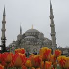 Sultan-Ahmed-Moschee / Blaue Moschee