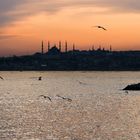 Sultanahmet from the sea