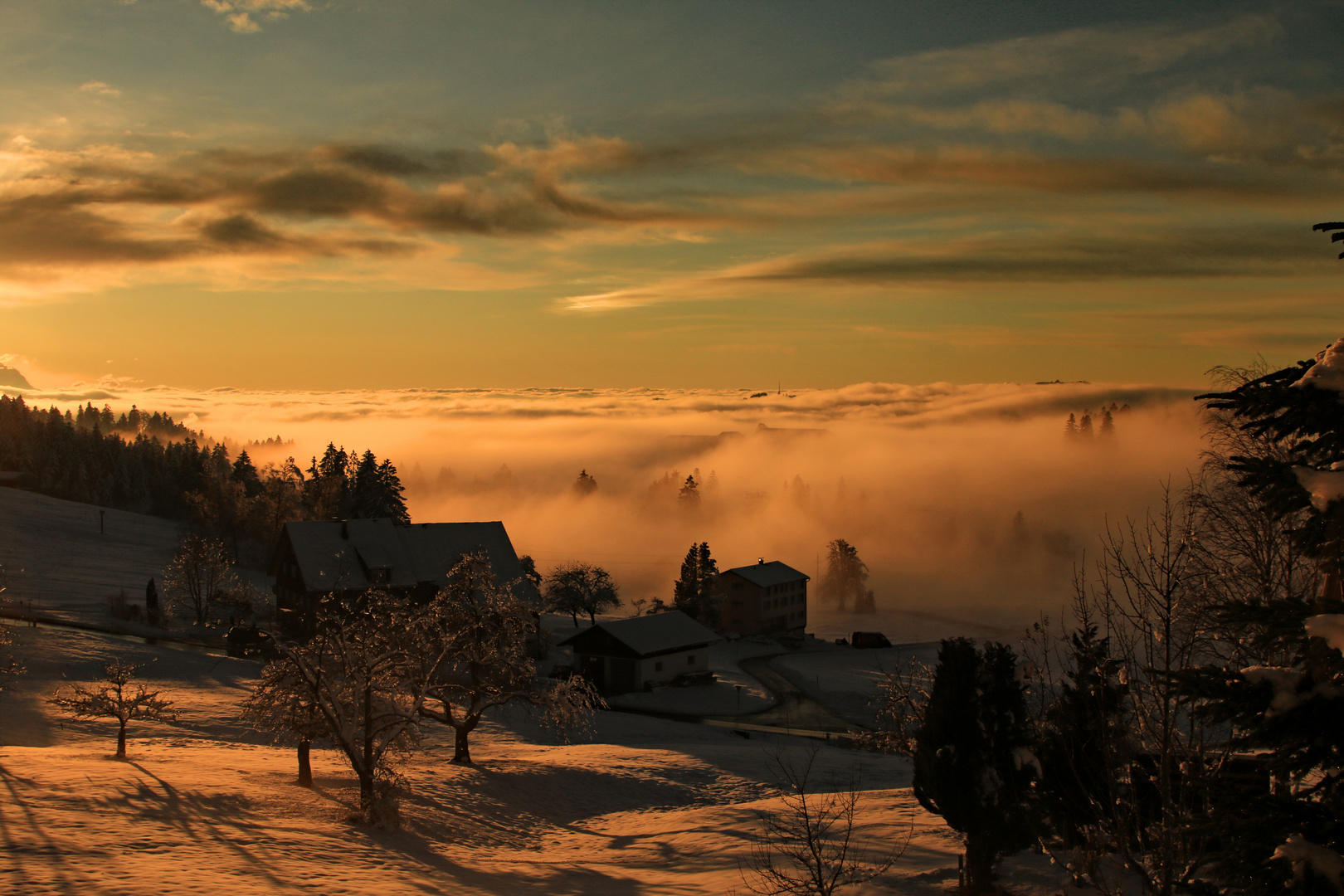 Sulzberg im Abendnebel_IMG_0749