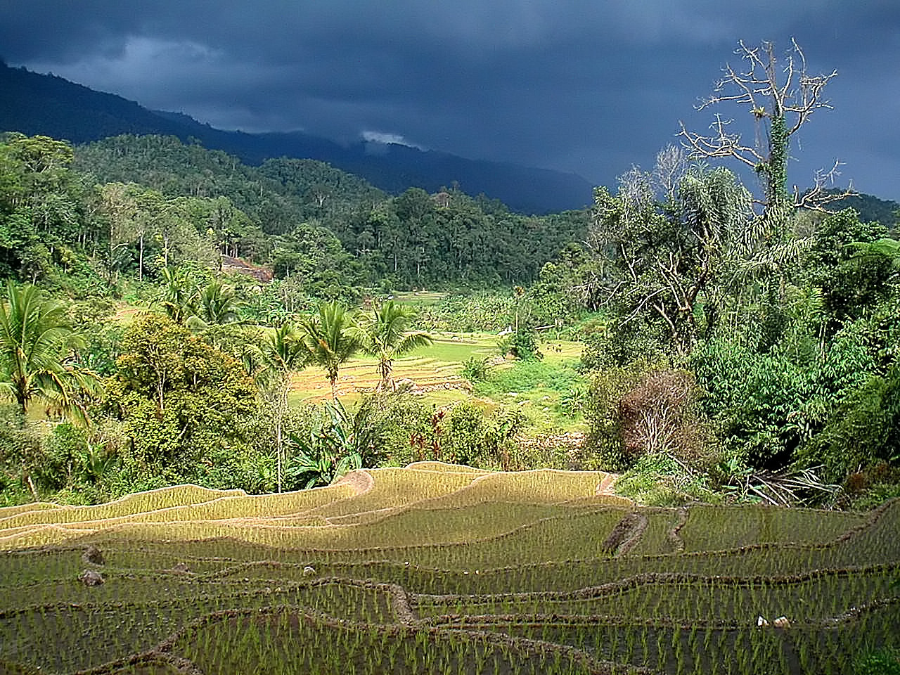 Sumatra - Gewitter