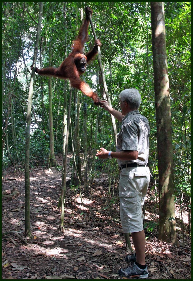 SUMATRA-INDONESIA