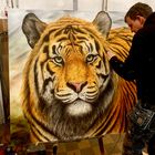 Sumatratiger at work