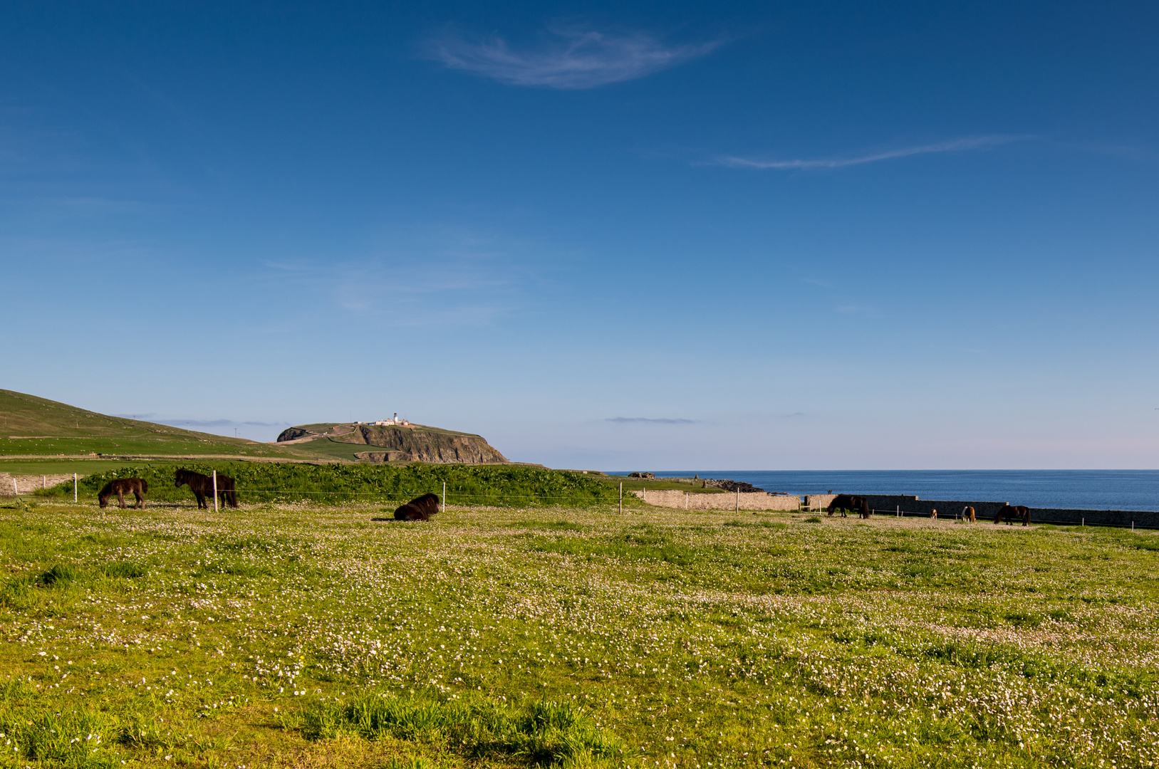 Sumburgh Head