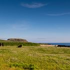 Sumburgh Head