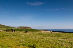 Sumburgh Head