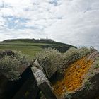 Sumburgh Head