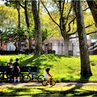 Summer Afternoon - An Astoria Park Moment