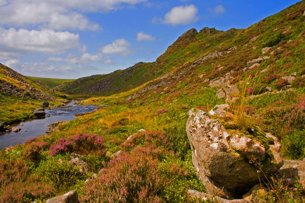 Summer at Dartmoor