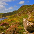 Summer at Dartmoor