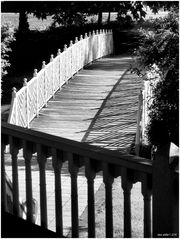 Summer at Quiet Waters - No.2