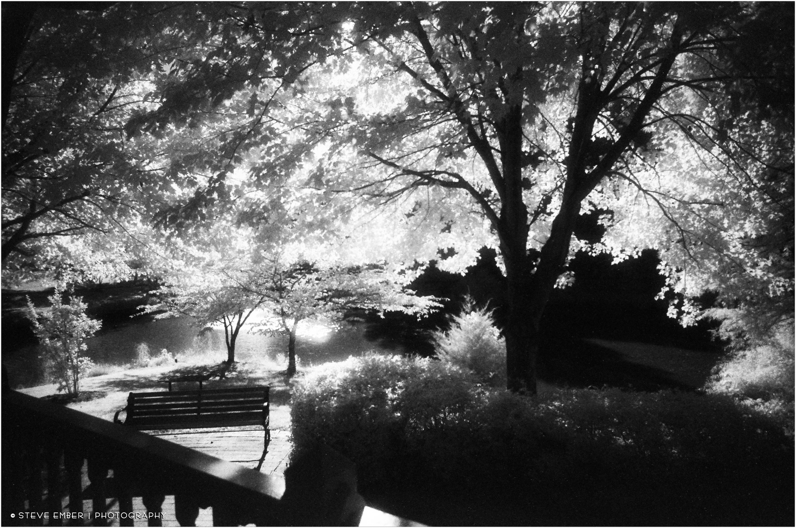 Summer at Quiet Waters No.7 - An Infrared Impression